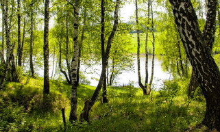 Összesen 39 hallgató kezdi az új tanárszakot, természettudomány-környezettan tanári képzést