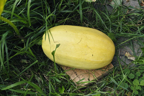 Jakab Péter: Ha tehetném, letépném a tökét