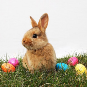 Hétfői ünnepi műsor