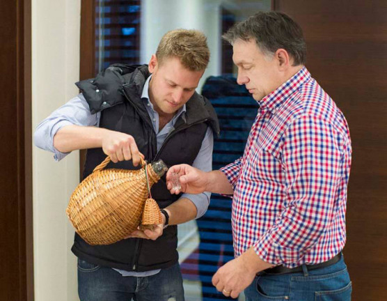 Tiborcz-közelbe kerül a Sofitel is