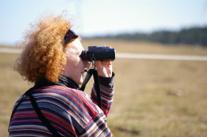Hobbi kukkolók a ferihegyi dombon