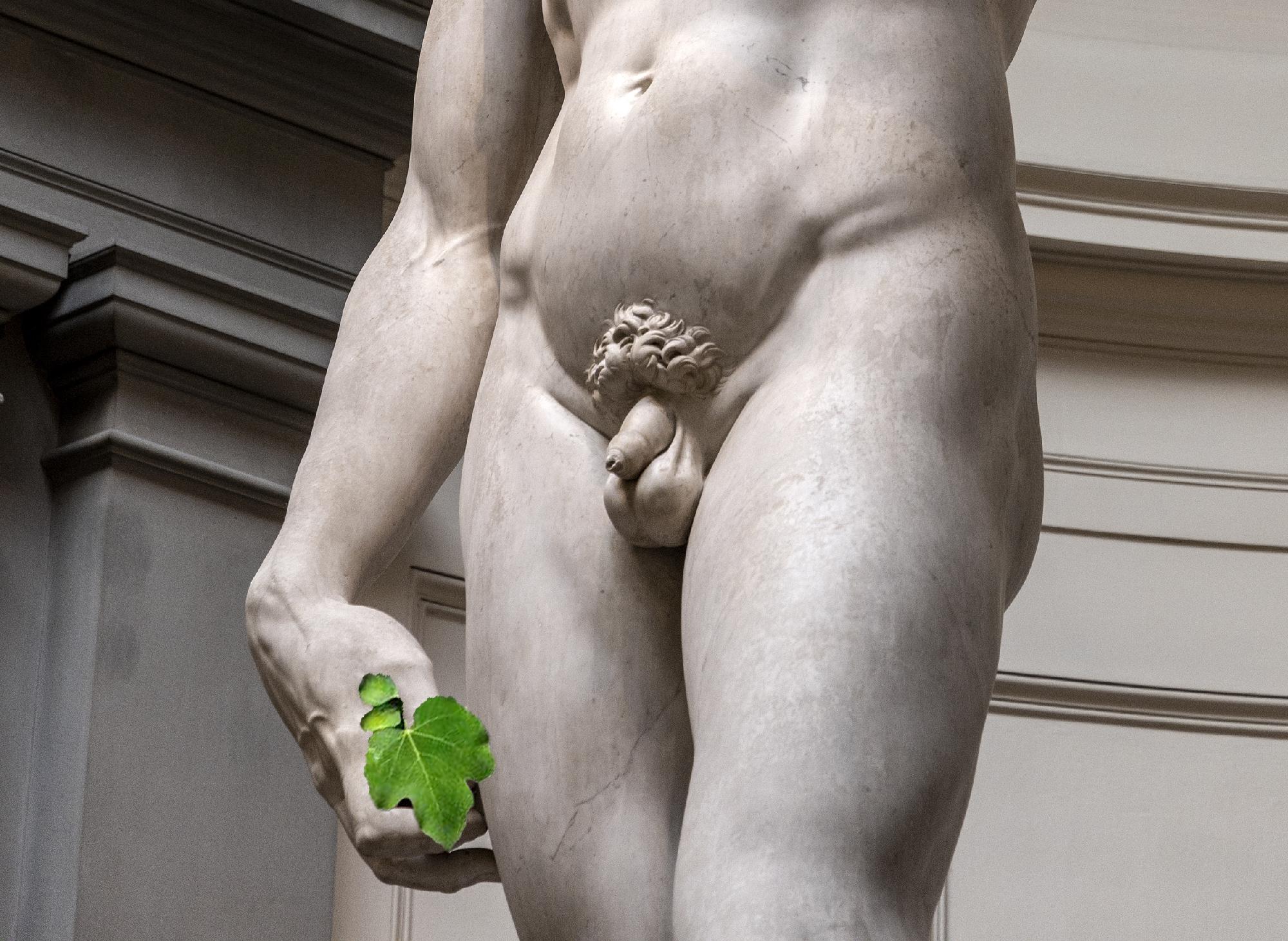 Dávid-szobor, Dávid, Michelangelo fügefalevél