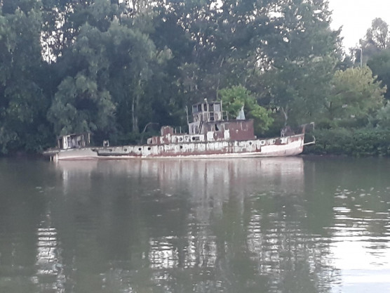 Június 29.: Nemzetközi Duna-nap