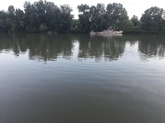 Kutyakiképzés közben eltűnt a Dunában a büntetés-végrehajtás két dolgozója Rácalmásnál.