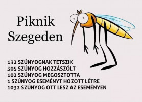 Kocsis benézte, és jól beszólt a kormánynak