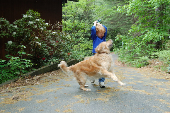 Szereti a kutya a gyerekeket?