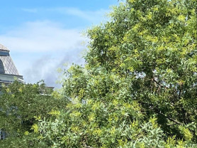 Lángokban áll egy XIII. kerületi raktárépület