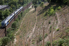 Birtoksértő rendezte át a MÁV alagútja feletti hegyoldalt