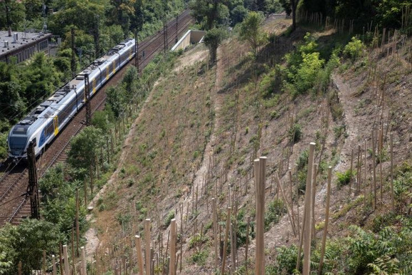 Birtoksértő rendezte át a MÁV alagútja feletti hegyoldalt