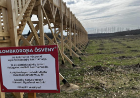 Tarra vágott területen építettek lombkorona sétányt uniós pénzből