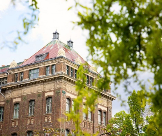 Vizsgálja a BME, mi okozhatta a rosszulléteket a gólyatáborban