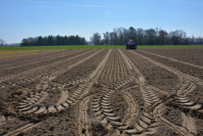 Földvásárlás állami segítséggel?