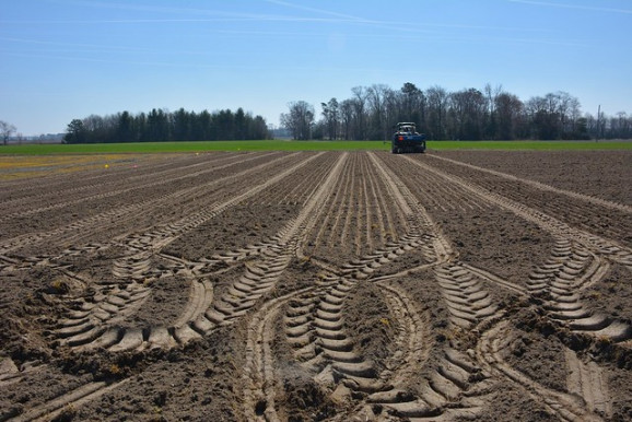 Földvásárlás állami segítséggel?