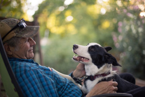 Érteni a szóból – A szótanulás működése