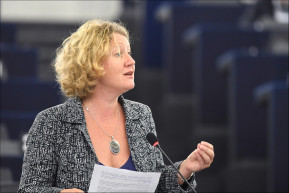 Sargentini: ha nincs jogállam, nincs pénz sem