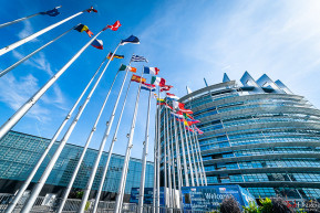 Nem a bevándorlásról szólt az EP-választás