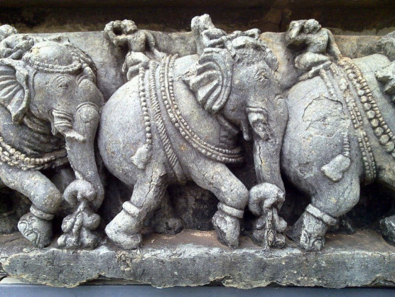 Indiában is feltűnt Orbán politikája