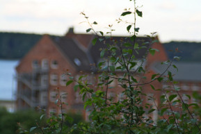 Menekülés lehet a csok-osoknak az agglomeráció