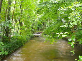 Európa lenne a legzöldebb kontinens