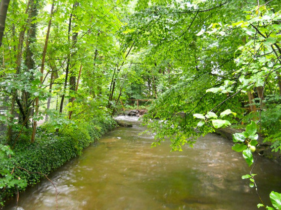 Európa lenne a legzöldebb kontinens