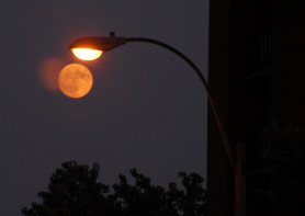 Tiborcz-üzlet – 116 év alatt visszajön a pénz