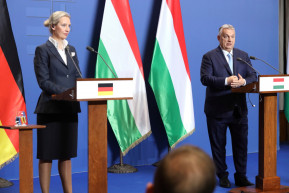 Alkotmányellenes párttá nyilvánították az Afd-t