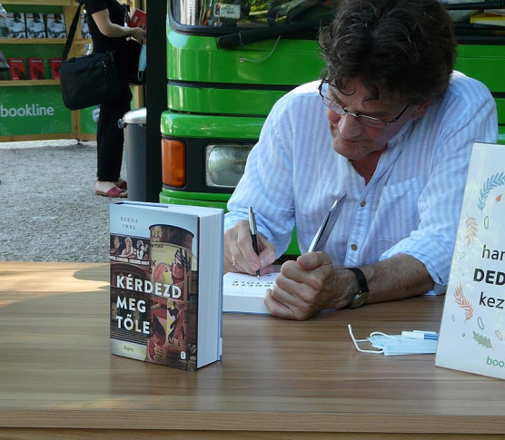 A beskatulyázhatatlan művészet kihívásai