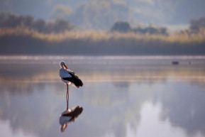 Rengeteg mikroműanyagot találtak a Bodrogban
