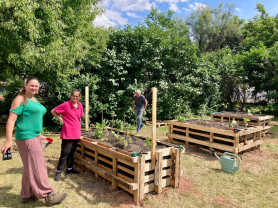 A hajléktalanszállón együtt kertészkedünk