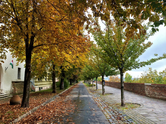 Lakásügynökség és építőanyagok újra