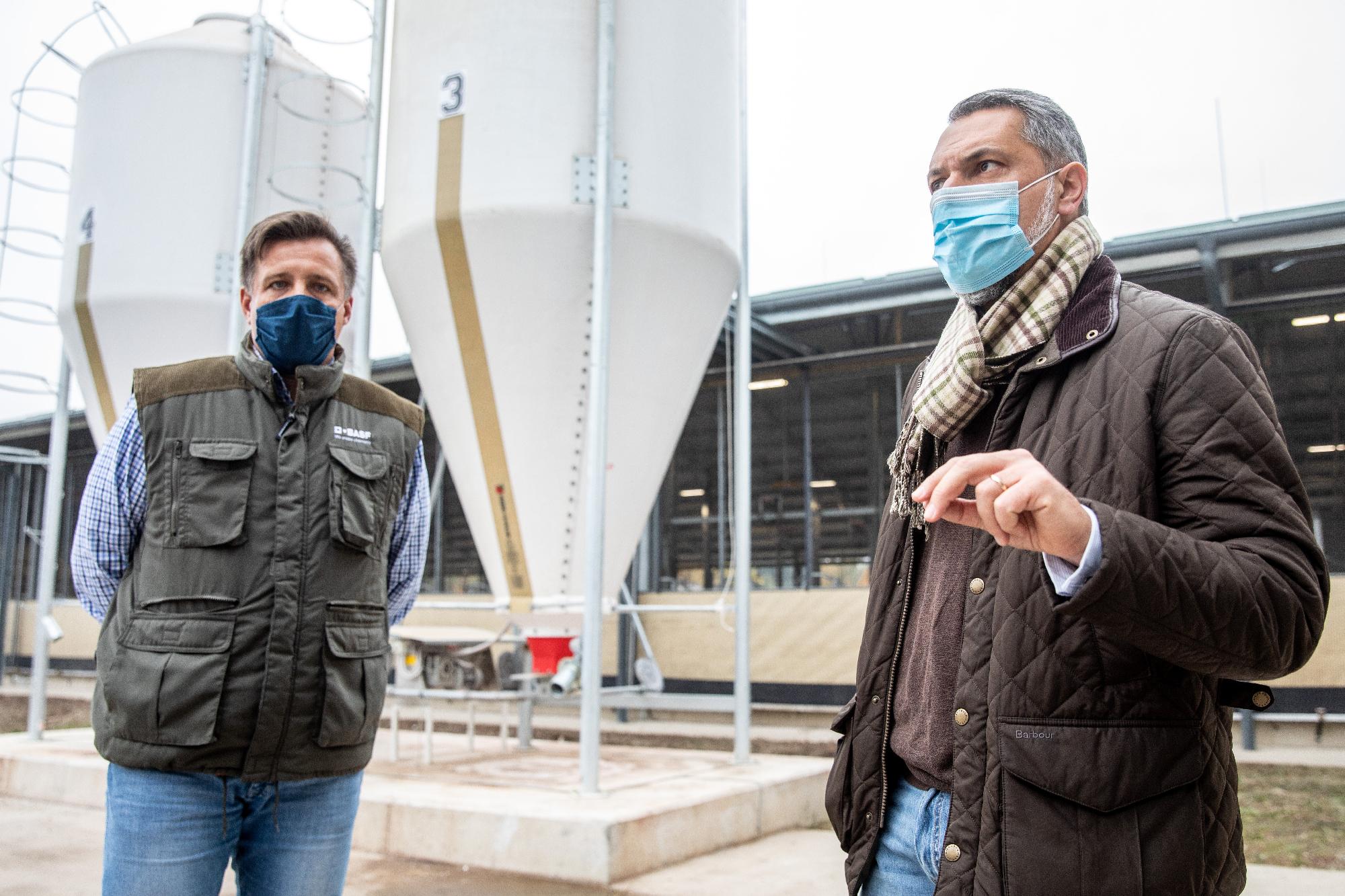 Az új mezőhegyesi robotizált tehenészet