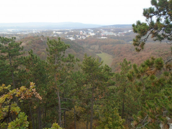 Szertefoszló álom az Álomvölgy?