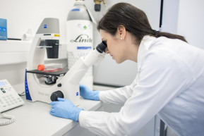 Kinek hiszünk, ha a vírusról van szó?