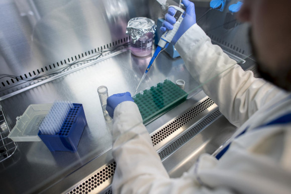 Nem orvosok dönthetik el, hogy kell-e teszt