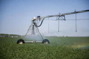 A föld szomjas, az állat éhes