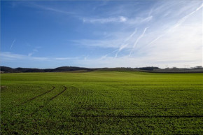 Jó pénzt hoz a termőföld