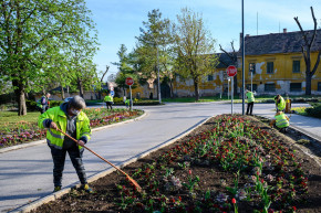 Ha nehezen megy a munkakeresés