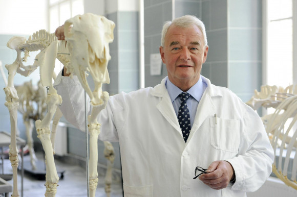 Mégis a pénzről szól az MTA beszántása