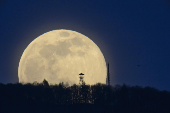 Szabó Norton: A holdra szállás is biznisz lett