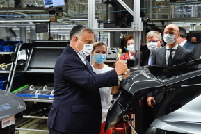 Falus Ferenc: A maszk a túlélés záloga