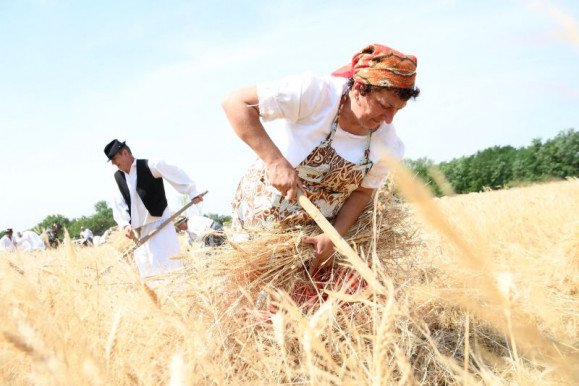 Raskó György: Hatékonyabban kell dolgoznia a gazdáknak, az ukrán gabonadömping miatti kártérítés jelképes