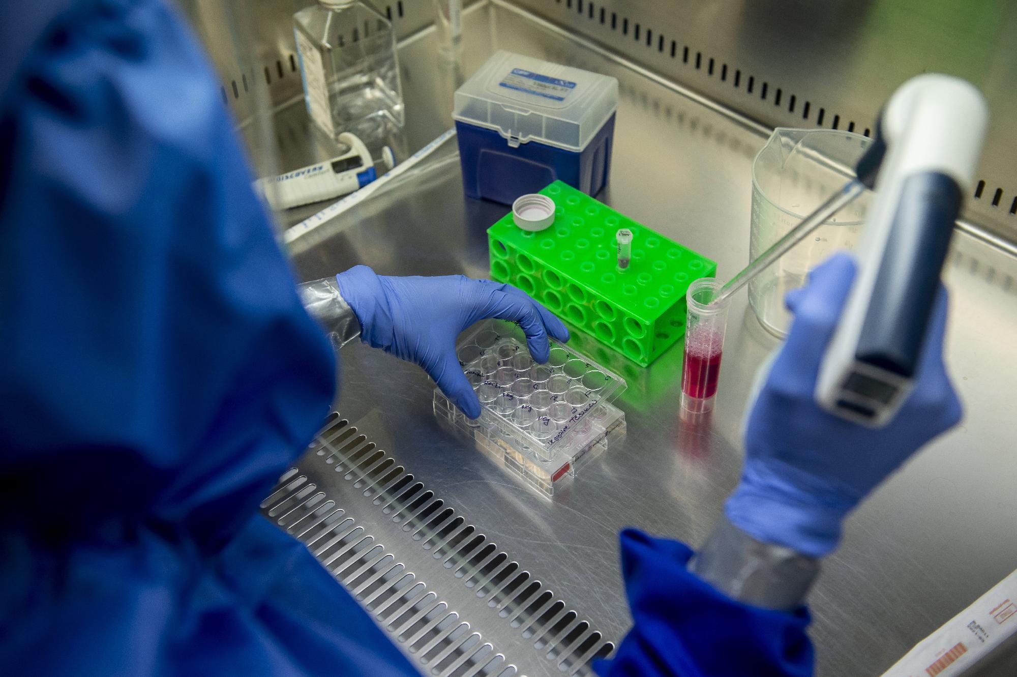 Koronavírus - A pécsi Szentágothai János Kutatóközpontban 