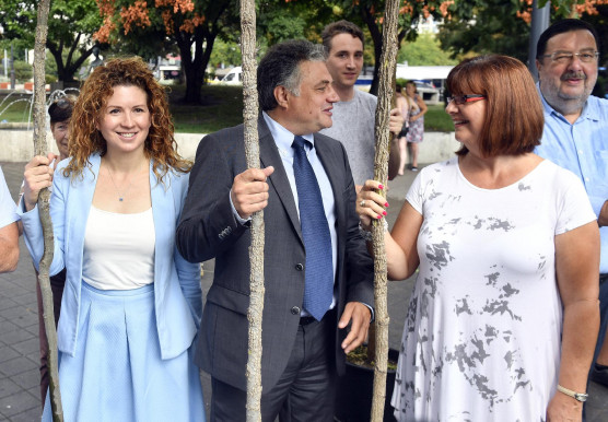 Hegyoldalakat túrnak el Pokorni kerületében