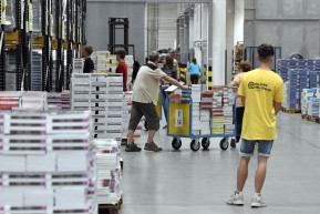 Pedofíltörvény: éppen az ellenkező hatást érik el vele, mint ami a szándék