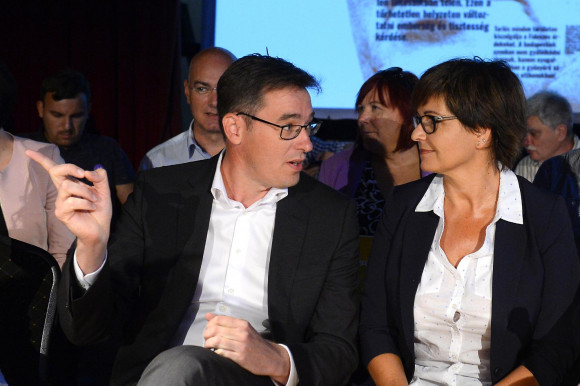 Kálmán Olga: a nagy tisztogatás nem jó