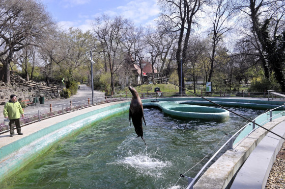 Állati rítusok, állati karantén