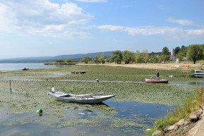 Ezer tonnányi műtrágyával a fedélzetén süllyedt el egy hajó a Dunán