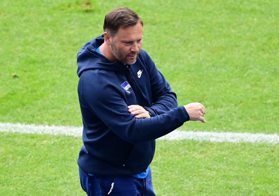 Felmentették Dárdai Pál vezetőedzőt a Herthánál