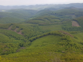 Komoly sebeket okoz a 