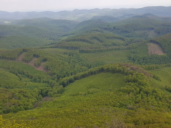 Komoly sebeket okoz a 